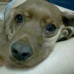 ★★동생을 찾아요★★