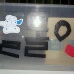 고슴도치 <b>돌돌</b>이~