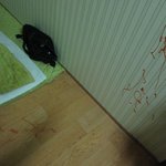 (사진+有)★★★염색약으로 도배된 <b>내방</b>★★★