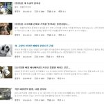 ★★★사진 有) 우리 반려견들을 도와주세요★★★
