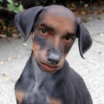 ★☆★☆저어떤가요?평가좀 ^///^★☆★☆<b>개진</b>지