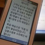 엄마가 방금 새해 문자를 받았는데