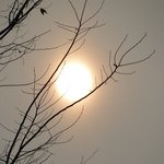 임진년 새해와 <b>송하</b>비결 2012 국운 ( 정기우 )