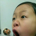 찾지마라 바보들아