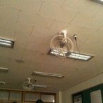 [사진有] 독특하고웃긴<b>울반</b>의 독특한 휴대폰충전법