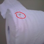 휴지안에 벌레가