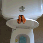 폰에서 똥냄새가 나욬ㅋㅋㅋㅋㅋㅋㅋㅋㅋ