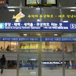 ★새해 훈훈한 판 ★ 여대생 3명 정동진 해돋이 가시는 분들께 계란과...