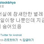 블락비벌레사건..ㅋㅋㅋㅋㅋㅋㅋㅋㅋㅋ