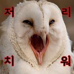 <b>띠발</b> ....나븐넘