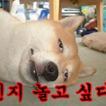 대학생 비즈니스 스쿨 참가하고 장학금 타고 여행도 가기!!
