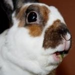 이민정 빵<b>song</b> 원래 이렇게 귀염터졌나?★★영상有