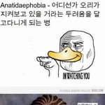 ★★<b>오리</b>공포증(anatidaephobia)을 아시나요??★★