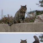 코<b>팔</b><b>사람</b> 줄을 서시오