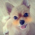 어떻게 해야 될까요ㅠㅠ...