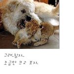 <b>큰일</b>이군 익숙해지다니