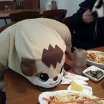 //12월 31일 남포동 프리허그 후기(사..사진있어요!)//