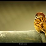 동방신기 해체시즌쯤에 썻던 소설입니다.