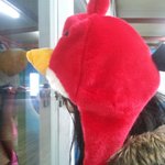 ☆★스케이트장이 동물농장이 됬어요~★☆