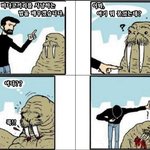 19금 혐) 바다코끼리 <b>사냥</b>법 ㄷㄷ