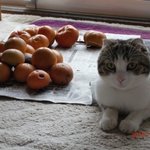 사진을 보면서 마음에 평화를 취해봅니다....... 모두들 <b>맛</b><b>점</b>하세요