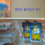 자취하는 친구 따라 레몬디톡스 다이어트 시작!!