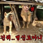 ★★★★<b>엽사</b>가지고있는 분들!!!★★★★