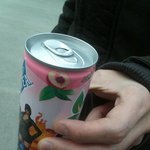 네<b>스티</b> 아이스티...(한국코카콜라.. 이런캔도 있네요 ㅋㅋ)