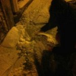 사진有))★★★ㄴㅅㄹ의 최후....★★★