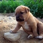 ★★  333 훈남한테 번호따였어요... 근데 이유가.........