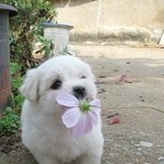 (사진有)누나2명<b>밑</b>에서 점점 건방져가는 우리<b>집</b>아들을 소개하겠음