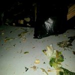 사진有★★★★음식물쓰레기테러★★★★★