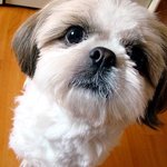☆★개판))하나..둘..셋..하..미치겟다별들아