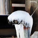 <b>et</b>의 겨울나기