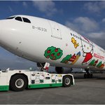 세상에서 가장 귀여운 비행기 헬로키티 비행기