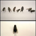 쓸데없이 고퀄.<b>jpg</b>