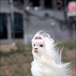 사람좀 그만 <b>까자</b>..