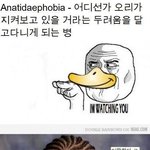 (펌)★★★★오리가 지켜보는 공포증★★★★★★★★★★