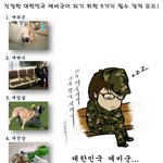 대한민국 <b>예비군</b>
