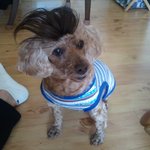 [개판]가발쓰고 <b>한컷</b>~