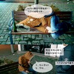패션왕실사판
