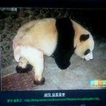 100%<b>하의</b>실종