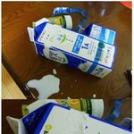 ★★ 그냥쉬어가는곳 16탄 ★★