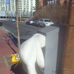 집에 오는 길에..