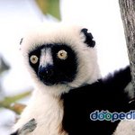 ★★★프리허그도중 고백한 훈남44444★★★