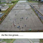 23★★★★★★<b>논두렁</b>★★★★★★★★★★★★★★★★★