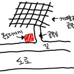 <b>박스</b> 할머니 덕분에 범인잡앗슴(그림有)