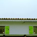 (좋은 글) * <b>독서</b> *