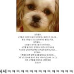 <b>암컷</b>들아 보아라~~~ 개...허세...