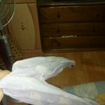 (사진有)★☆★<b>효도</b>한답시고 밤에 빨래를 널었는데..ㅠㅠ★☆★